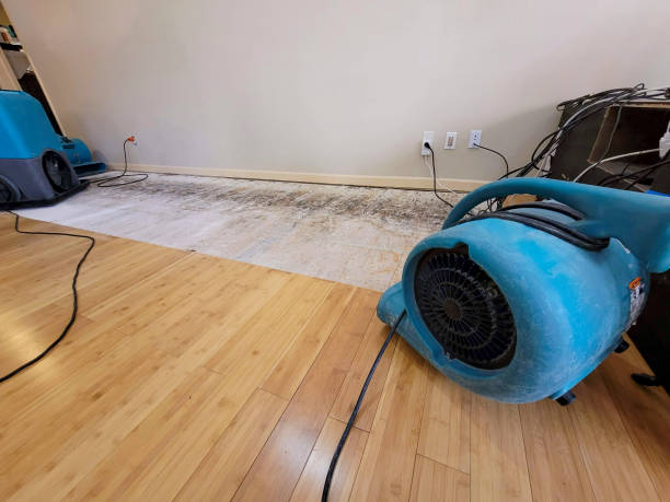Professional Sewage Cleanup technician working in Dunreith, IN